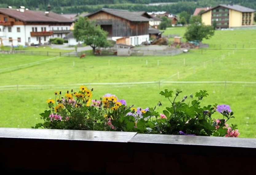 Ausblick vom Balkon Apartment Typ 1 + 3